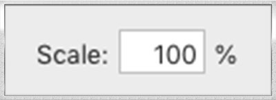 Scale_Screen